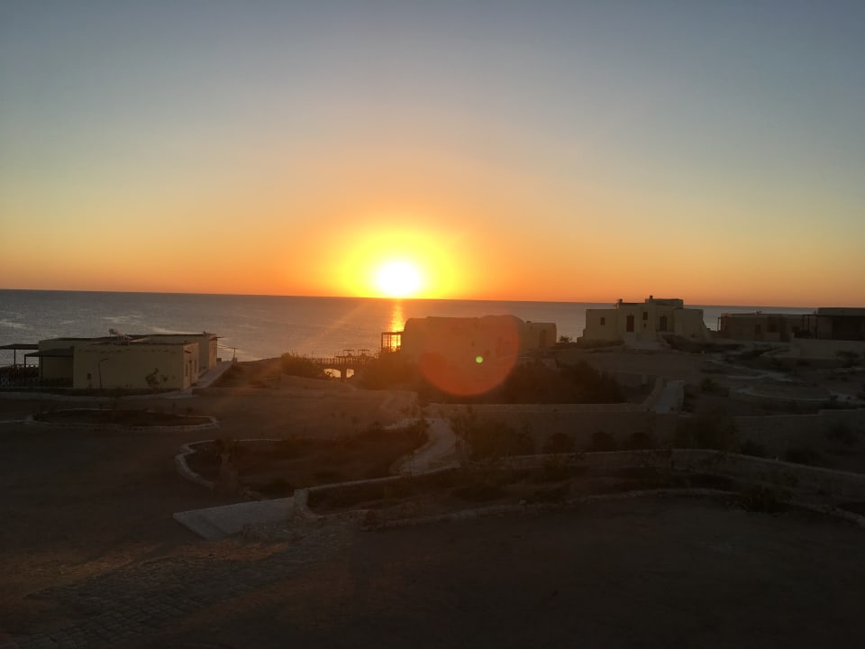 Außenansicht The Oasis Dive Resort