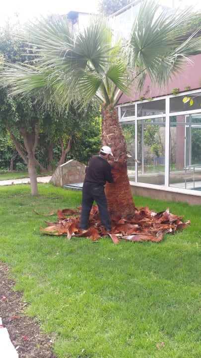 Garten Telatiye Resort