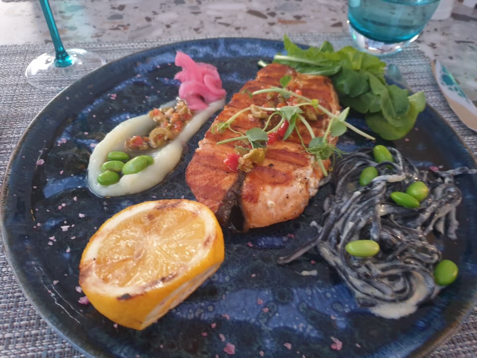 Gastro PALOMA Perissia