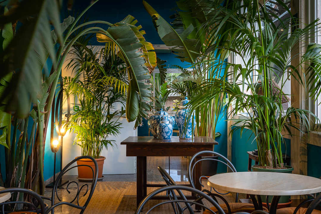 Lobby Hotel Portofino