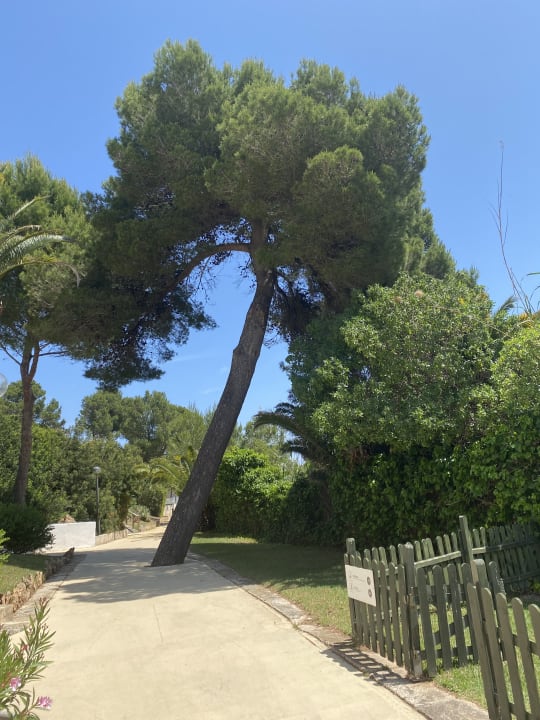 Gartenanlage Hotel Exagon Park