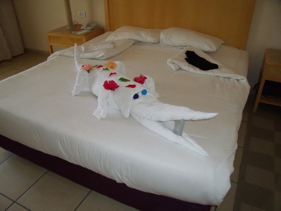 Zimmer Hotel JAZ Makadi Star & Spa