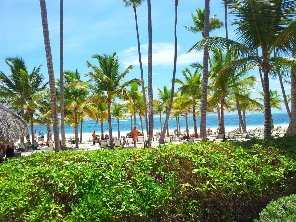 Strand Secrets Royal Beach Punta Cana - Adults only