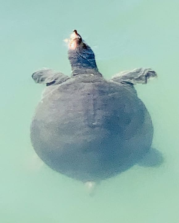 Sonstiges TUI BLUE Xanthe