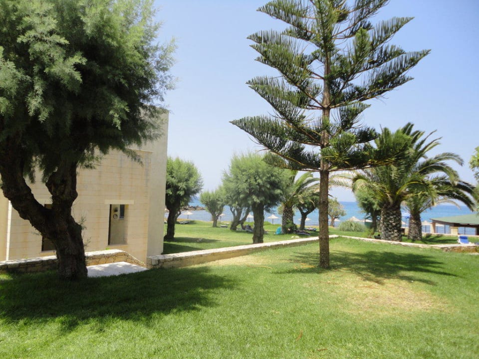 Ogród allsun Hotel Malia Beach