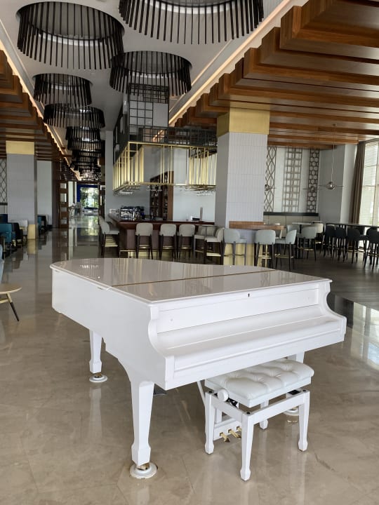 Gastro Acanthus Cennet Barut Collection