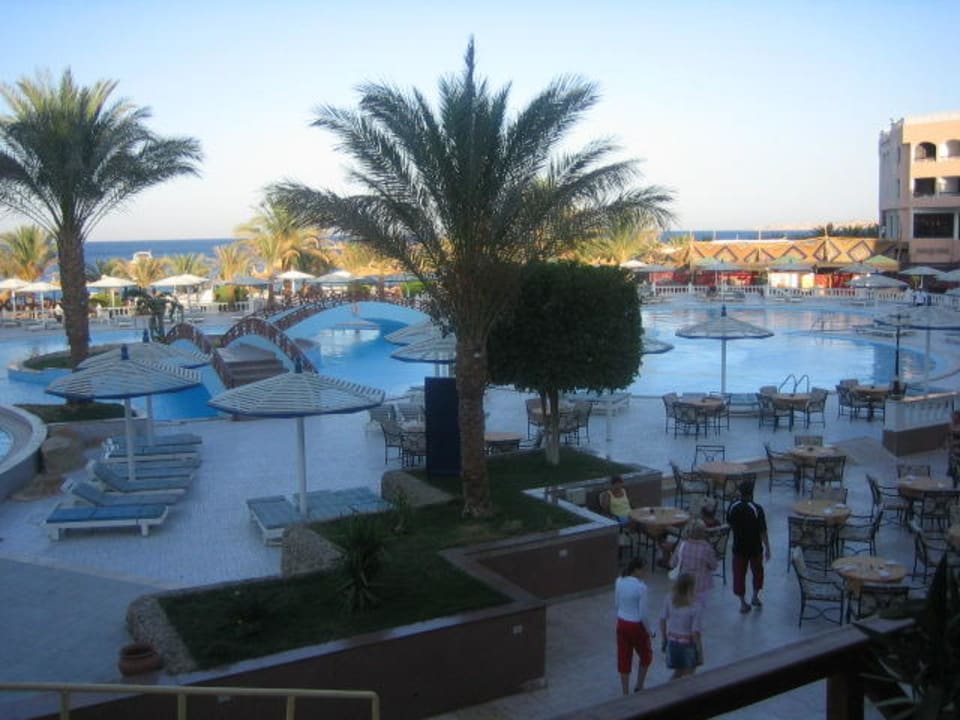 Poolanlage Beach Albatros Resort
