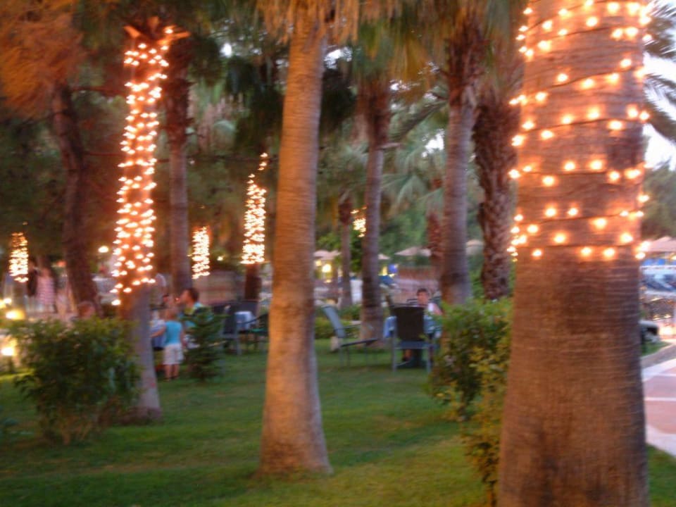 Terrasse en soirée Hotel Marti Myra Holiday Village