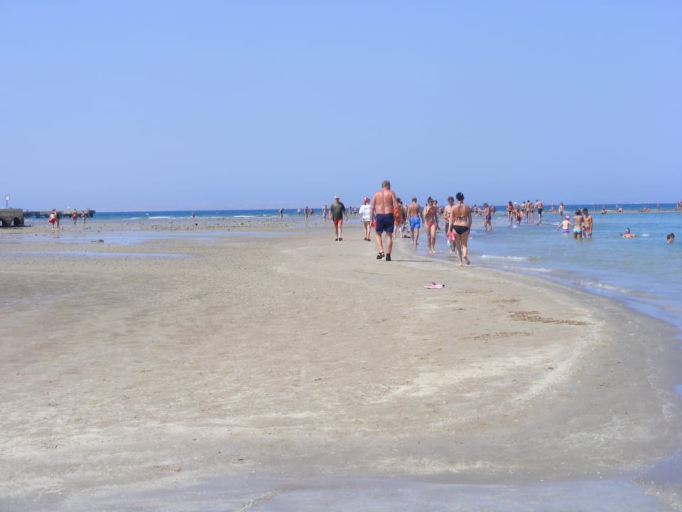 Blick vom Strand in die Lagune Pickalbatros Dana Beach Resort - Hurghada