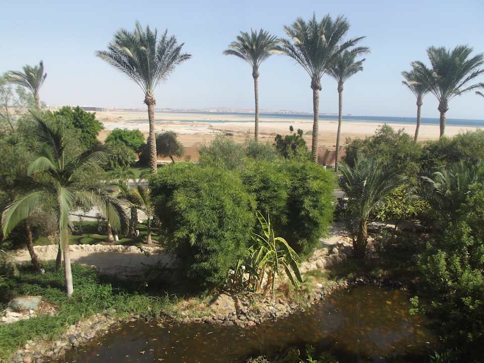 Ausblick aussenbereich Makadi Palace