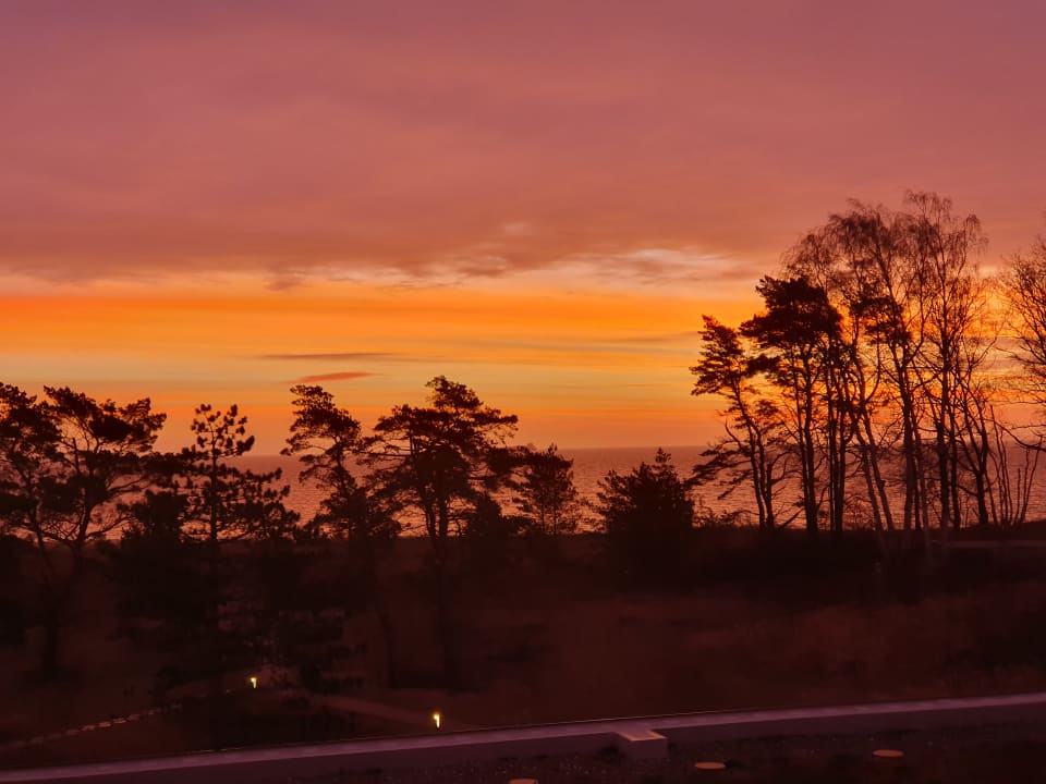 Ausblick Santé Royale Rügen Resort