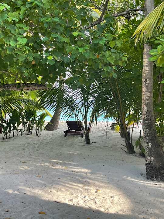 Strand Filitheyo Island Resort