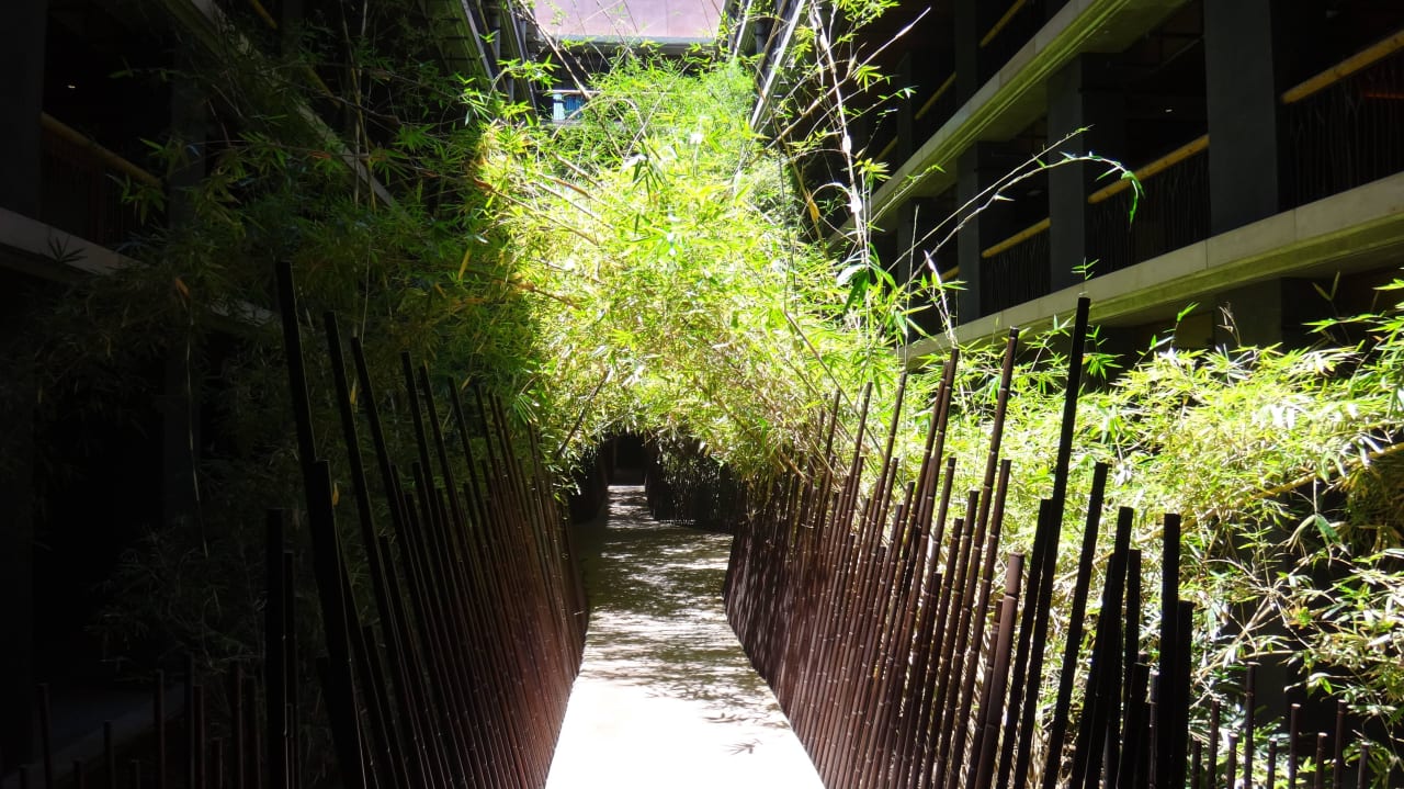 Weg zum Zimmer (sehr beeindruckend) Lopesan Baobab Resort