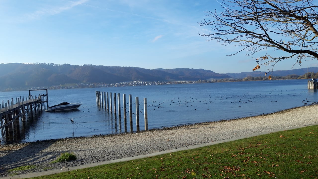 Ausblick Seehotel Adler