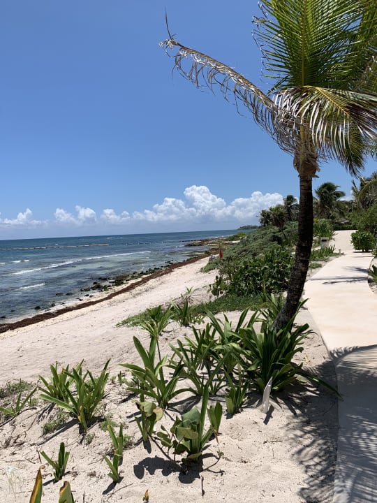 Strand Akumal Bay Beach & Wellness Resort