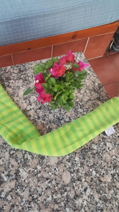 Nett hergerichtet Club Maspalomas Suites & SPA