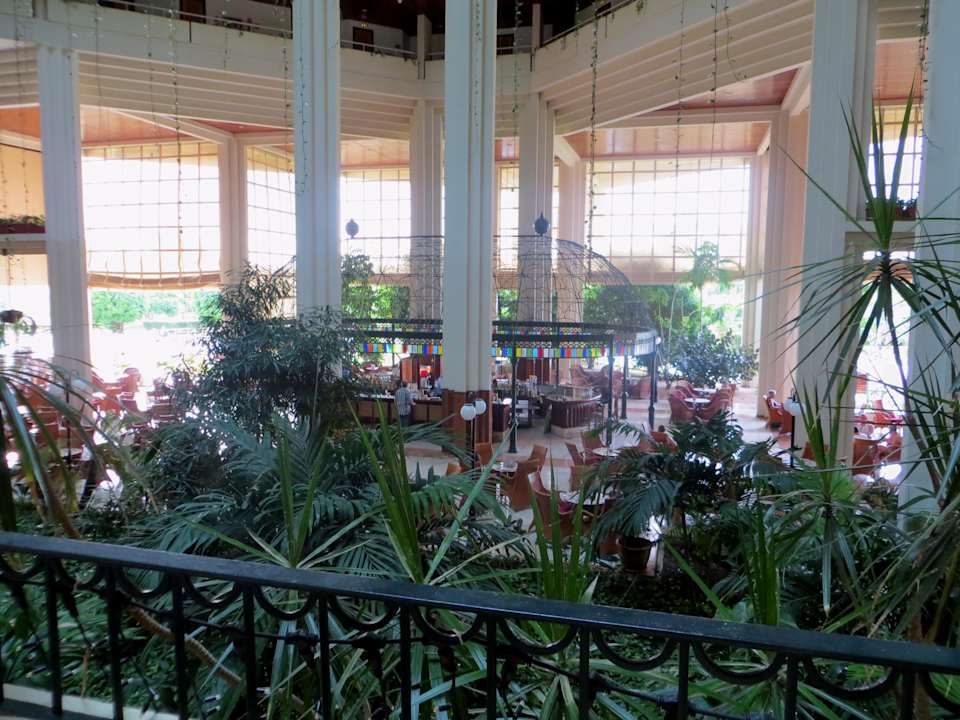 Blick in die Bar runter Blau varadero - Adults only