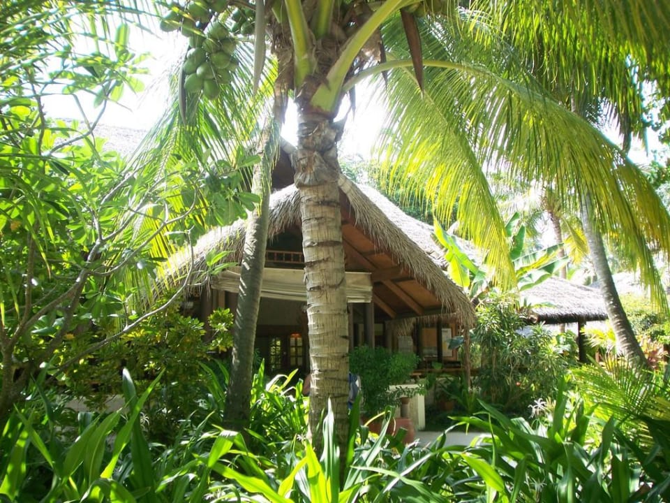 Hauptrezeption Kuramathi Maldives