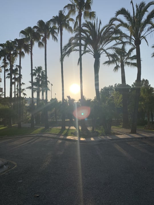 Gartenanlage allsun Hotel Bella Paguera