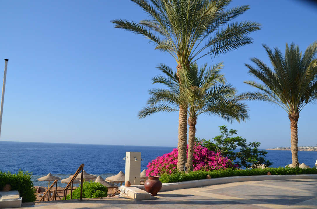 Gartenanlage Sharm Club Beach Resort