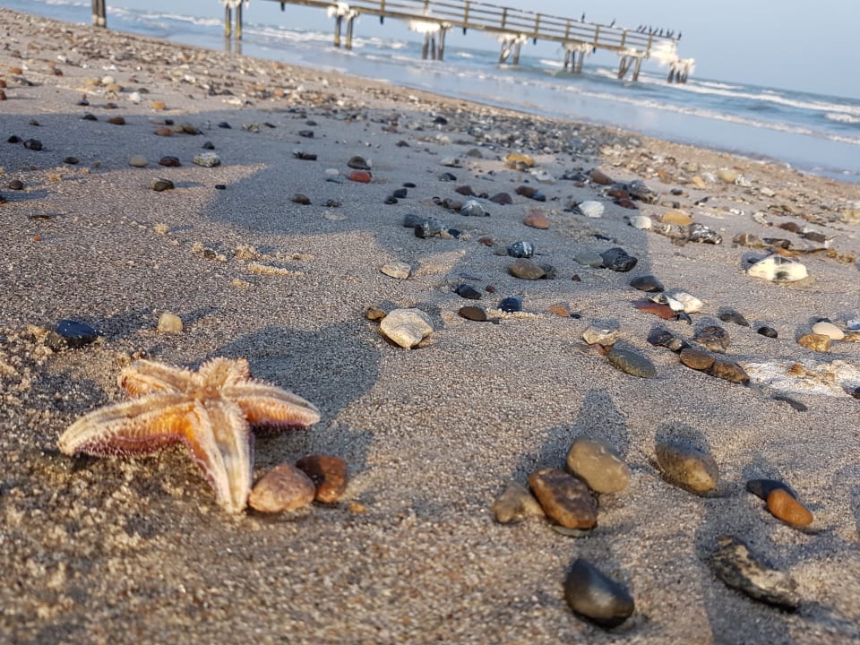 Strand Haus Panorama