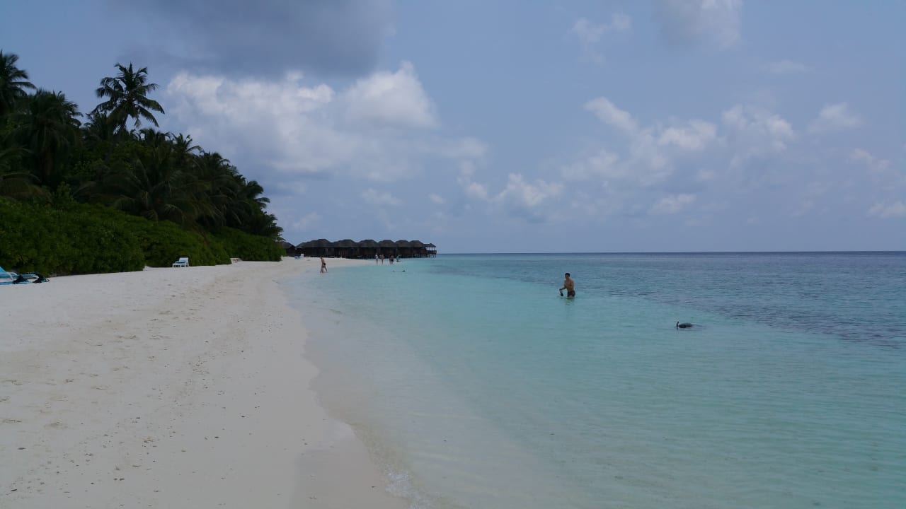 Strand Fihalhohi Maldives
