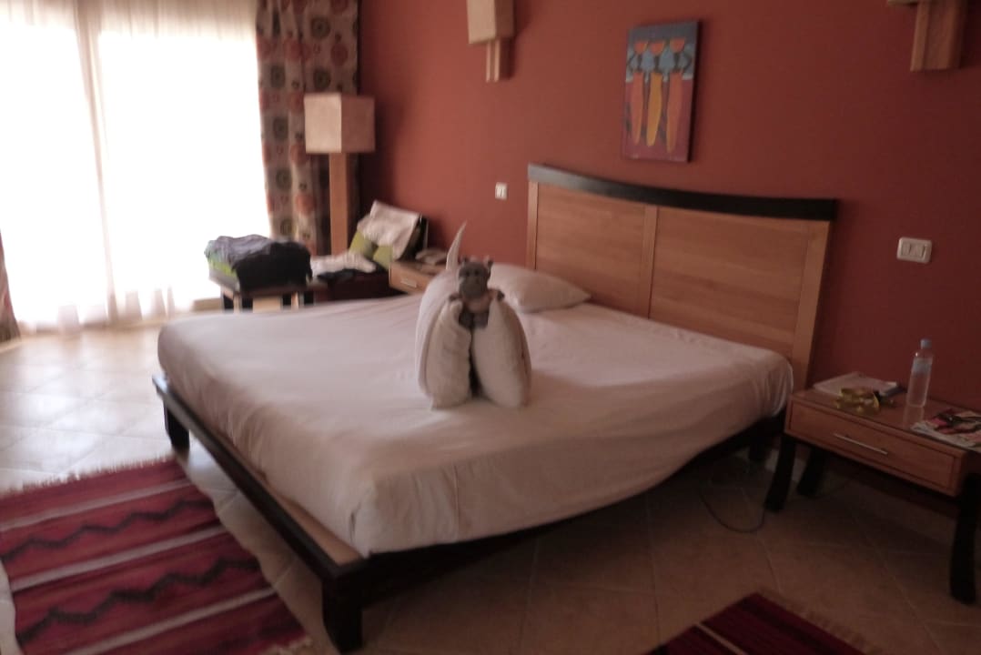 Zvířátka na pokoji Prima Life Makadi Resort