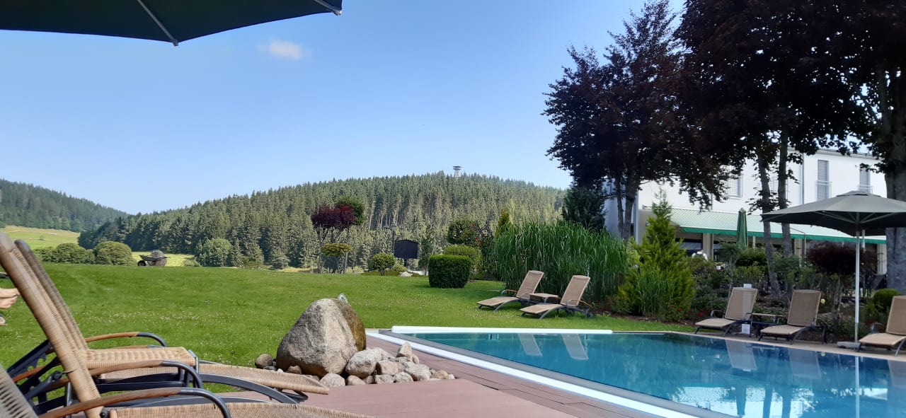 Pool Parkhotel Flora