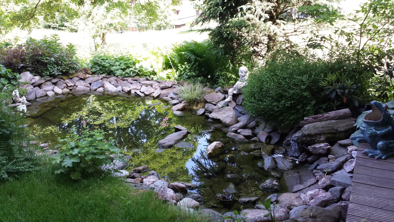 Teich Hotel Seebichl