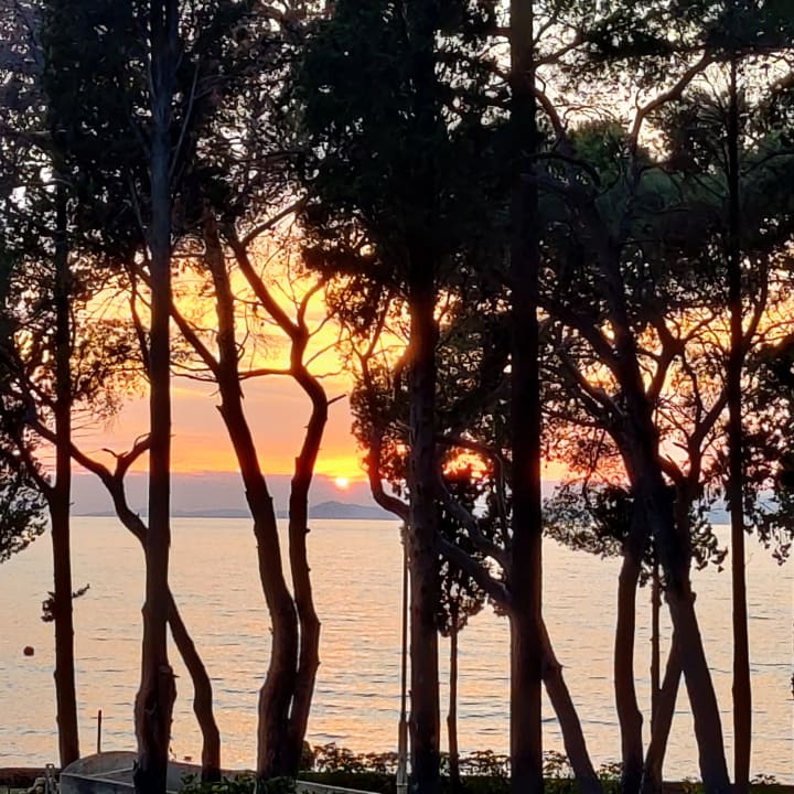 Ausblick Aminess Vival Casa Velaris