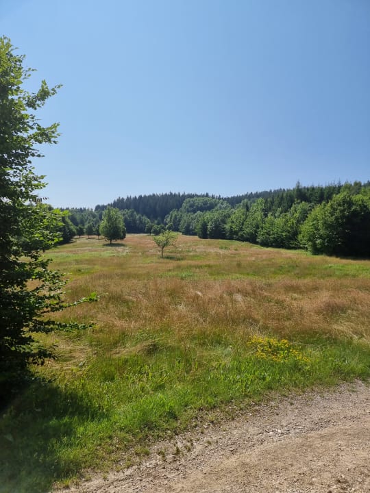 Ausblick Aldiana Club Ampflwang