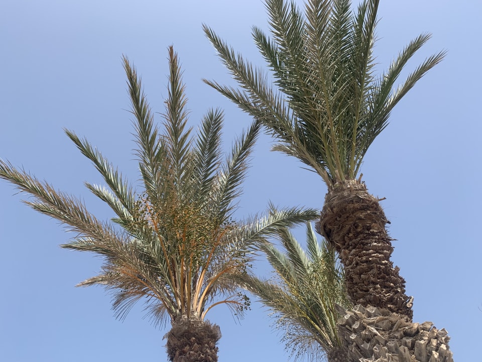 Sonstiges Lella Meriam Hotel & Club