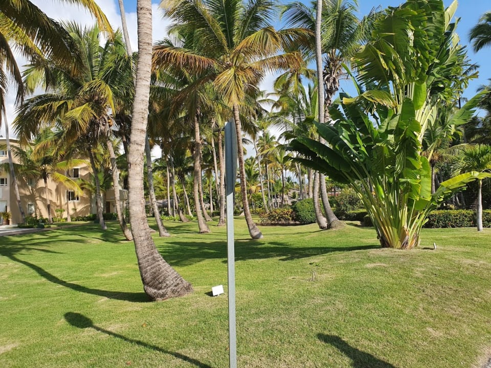 Gartenanlage TRS Turquesa Hotel - Adults only