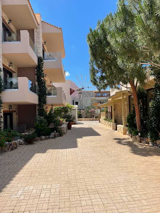 Gartenanlage Cactus Royal