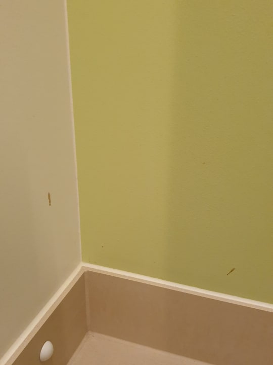 Zimmer SEETELHOTEL Kaiserstrand Beachhotel