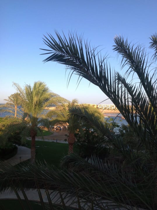 Genial Steigenberger Coraya Beach - Adults only