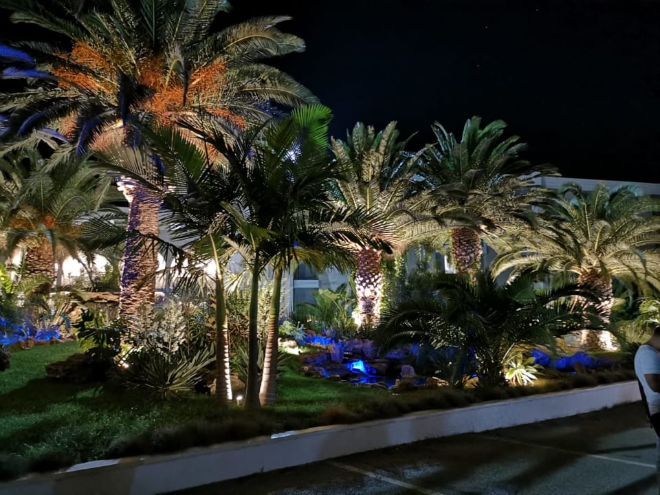 Garten Caravia Beach Hotel