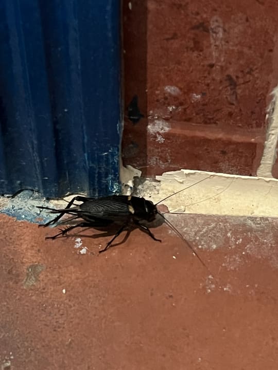 Sonstiges Three Corners Equinox Beach Resort