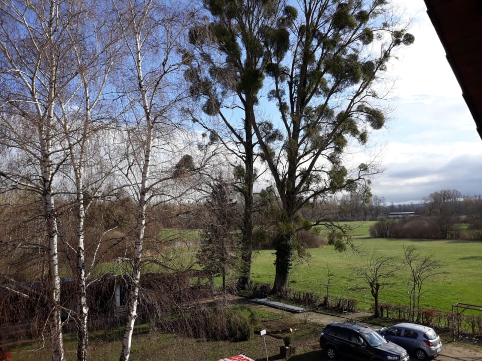 Ausblick Cafe Restaurant Rheinstrom