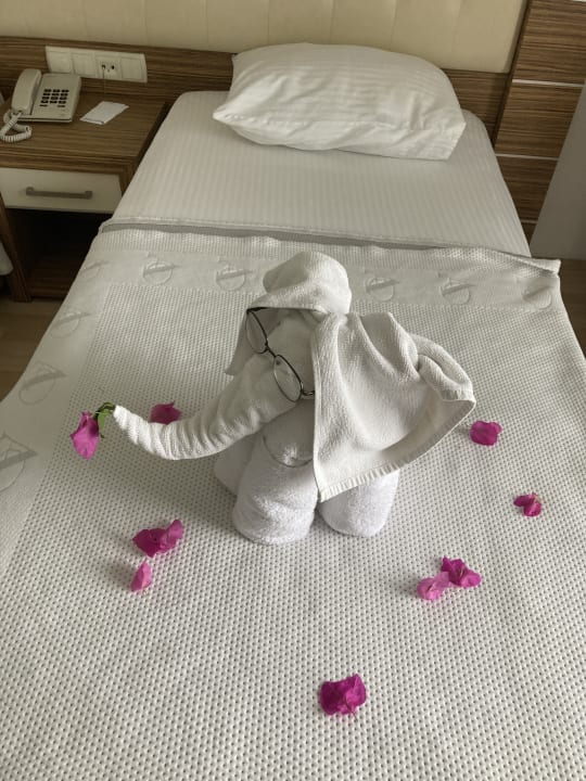 Zimmer Blue Diamond Alya