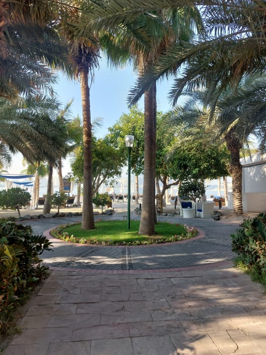 Gartenanlage Rixos The Palm Hotel & Suites