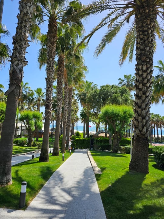 Gartenanlage Hotel Miramare Beach