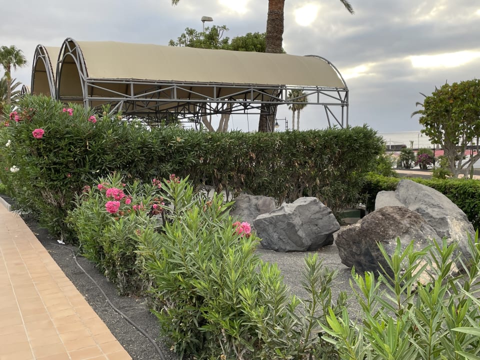 Gartenanlage Hotel Riu Paraiso Lanzarote