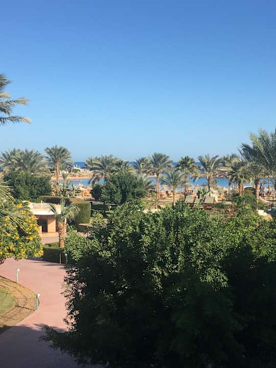 Ausblick Desert Rose