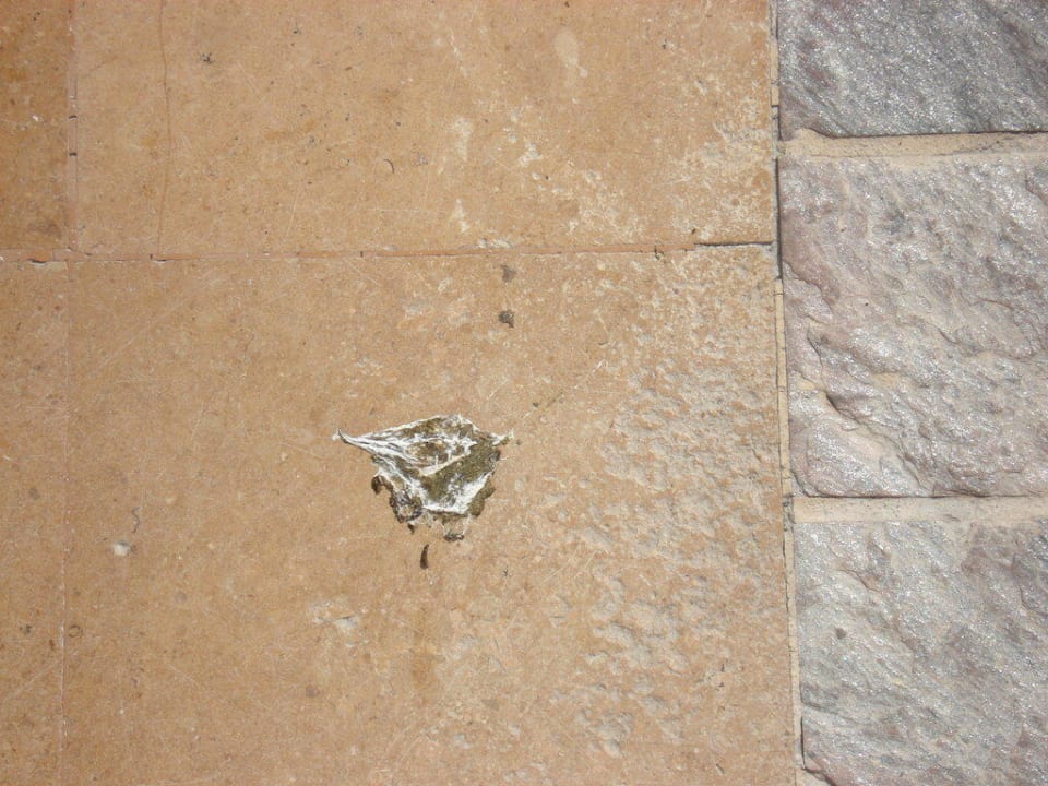 Vogelkot im Überfluss Radisson Blu Resort, El Quseir