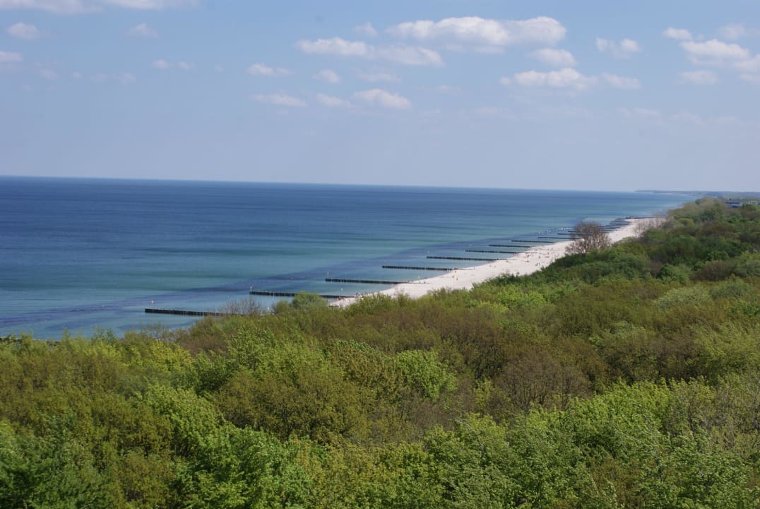 Park nadmorski Hotel Aquarius Spa