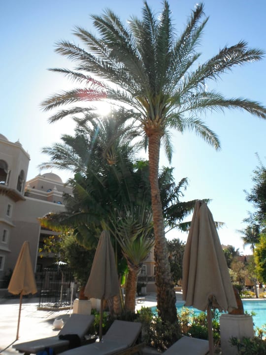 Unter Palmen Makadi Palace