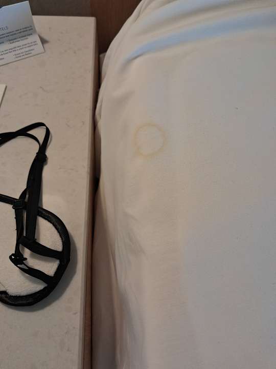 Zimmer Süral Saray Hotel