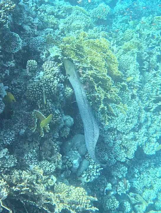 Strand Casa Mare Resort