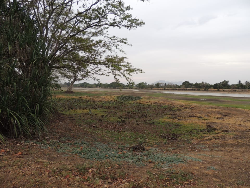 Blick auf den ausgetrockneten See Habarana Village by Cinnamon